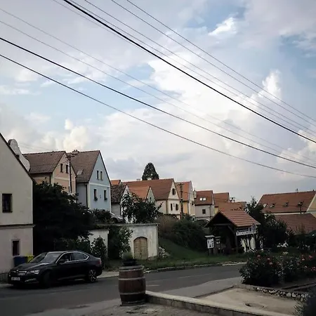Vila Ochutnej Palavu Pavlov Buitenkant foto